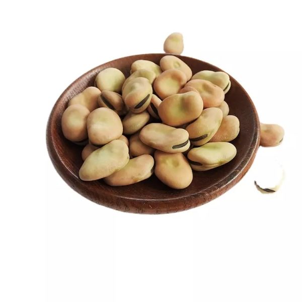Good Quality Broad Beans for Canning Qinghai Origin