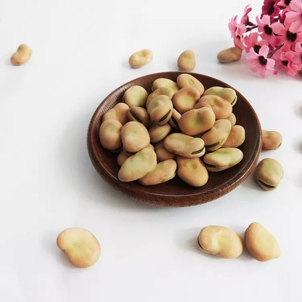 Good Quality Broad Beans for Canning Qinghai Origin - Image 3