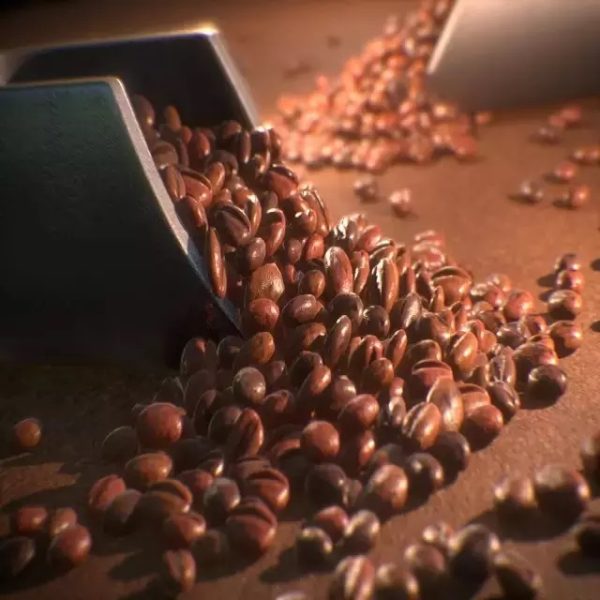 Coffee - Brazilian Freshly Roasted Brazil Coffee Beans - Best quality - Image 6