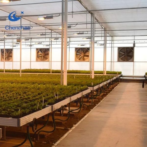 Greenhouse Farming Agriculture Equipment Benches - Image 6