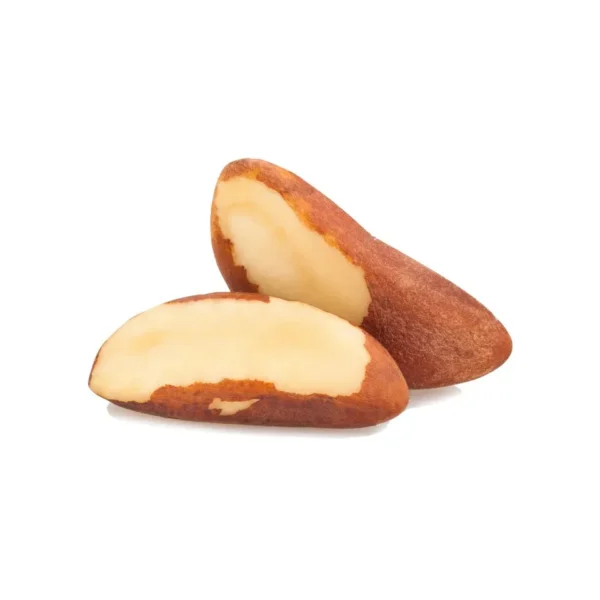 Buy Organic Raw l Nuts / Brazil Nuts Wholesale Brazil Nuts at Affordable Competitive Market Prices from Top Ranking Suppliers