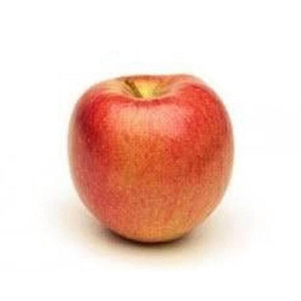 Apple Golden (Golden Saib) 1kg