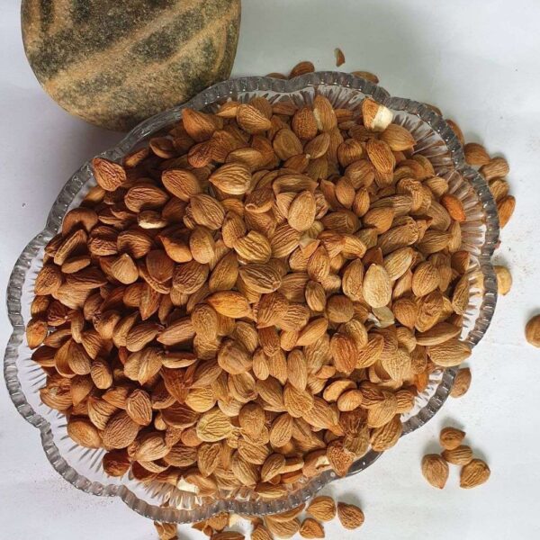 Apricot kernels (Seeds) (Khubani giri)