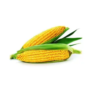 Corn (Bhutta) 1 Kg
